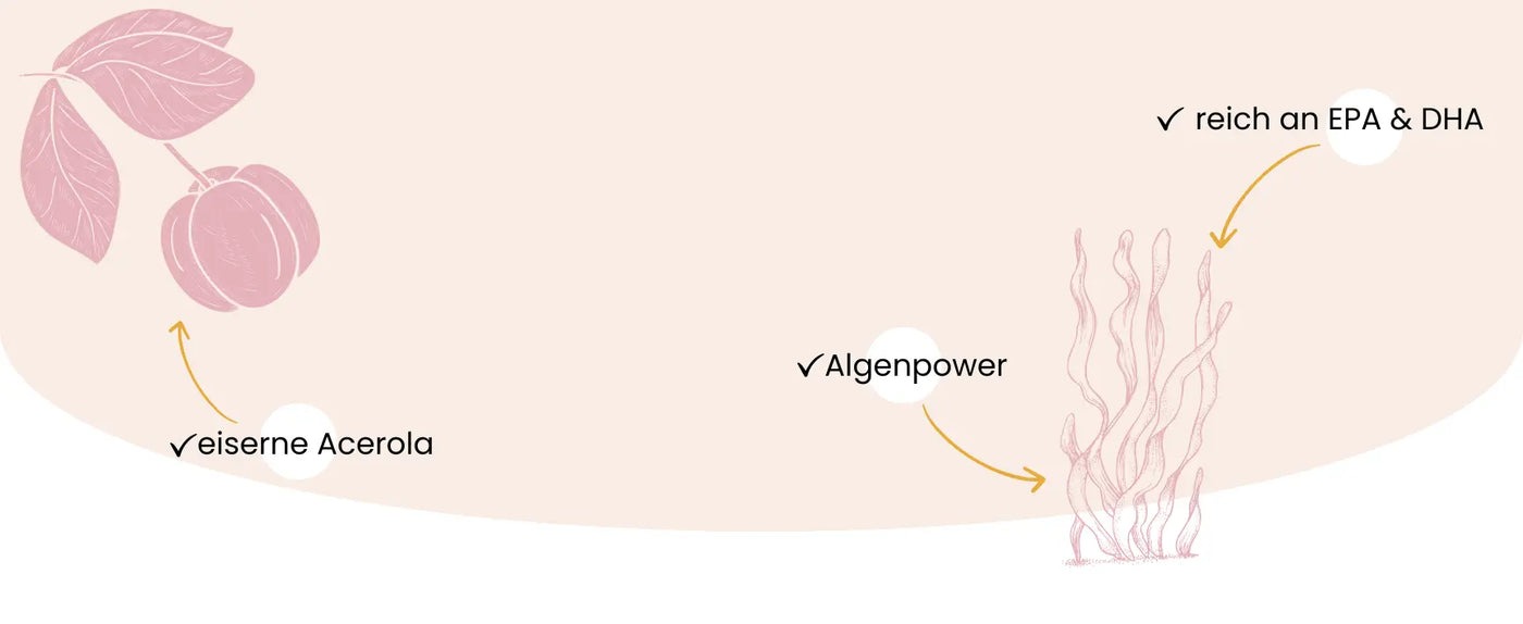 Vitamine vegardians GmbH